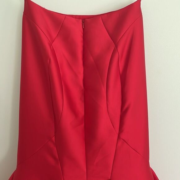 Rachel Allan Sleeveless Ruffle Gown Evening Dress - Picture 6 of 8